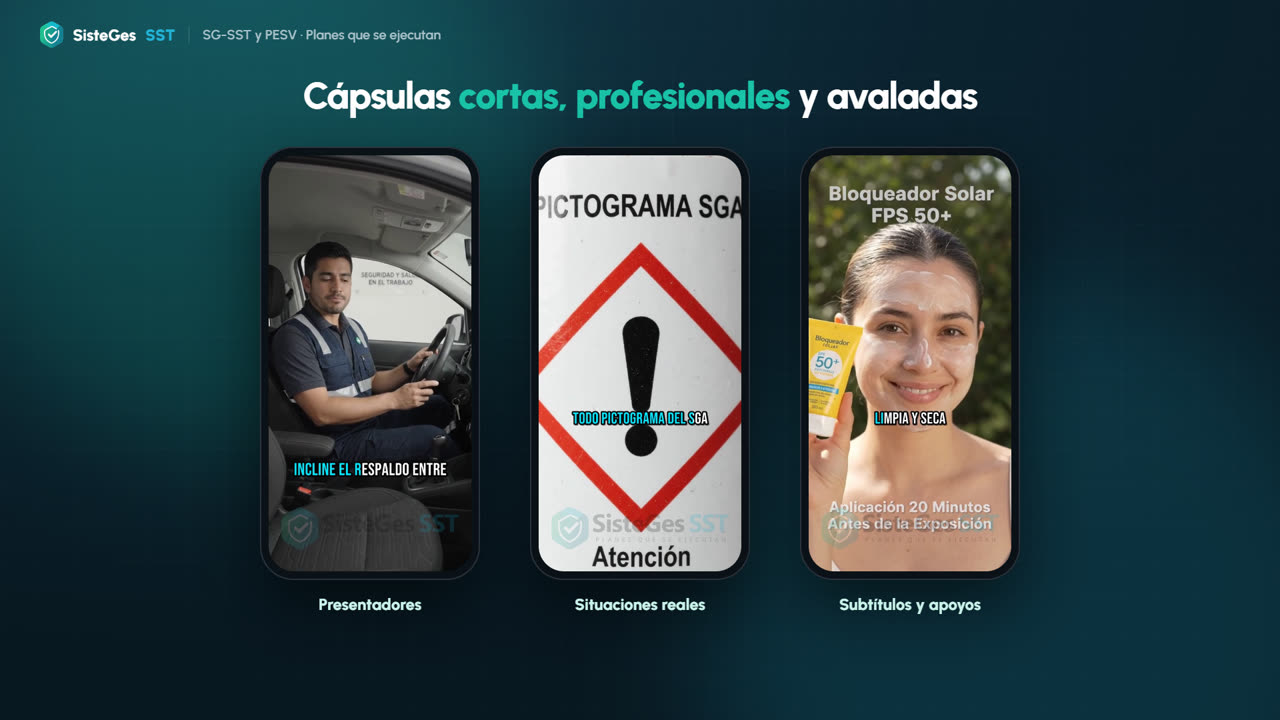 Un cuadro de cómo funciona SisteGes SST